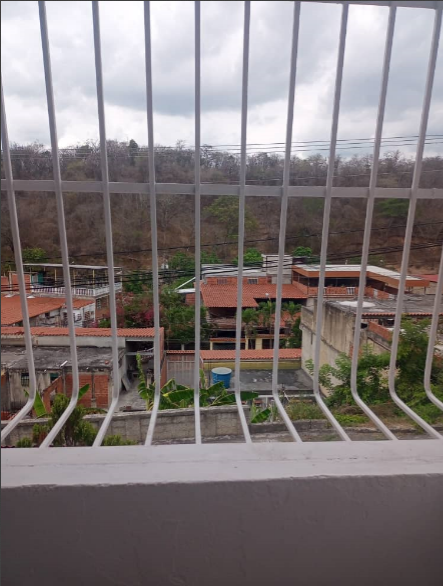 Descripción de la imagen