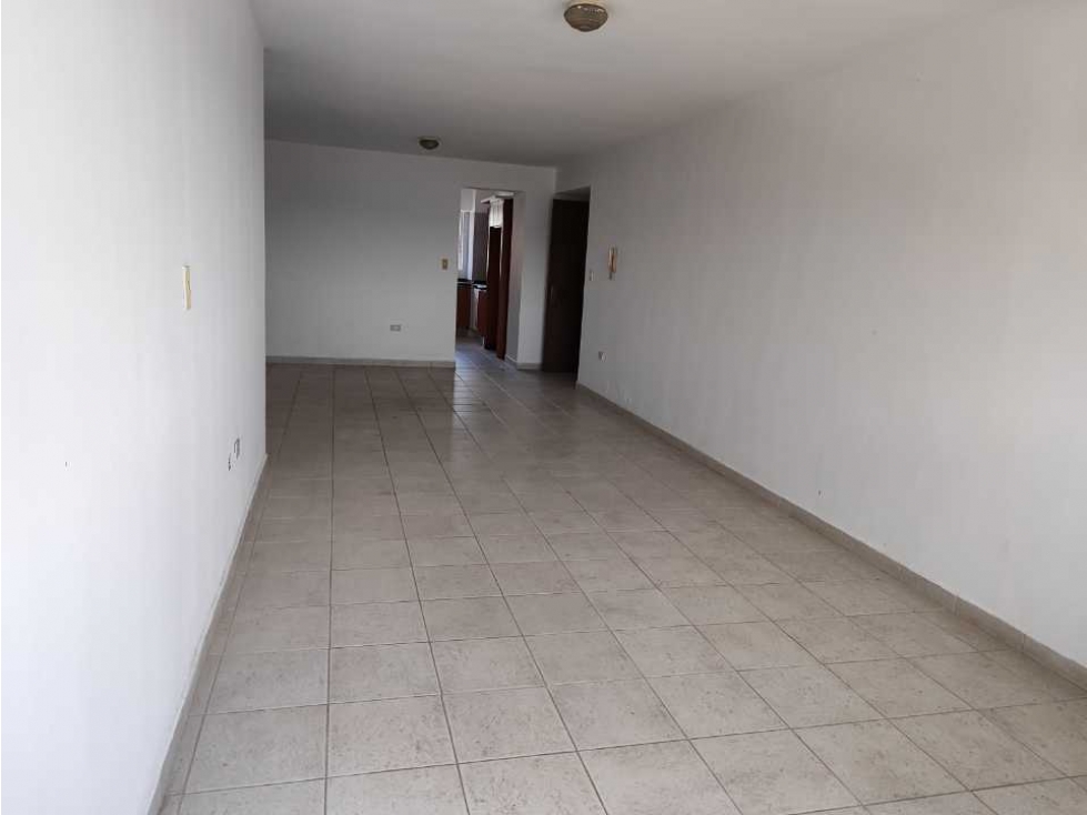 Descripción de la imagen