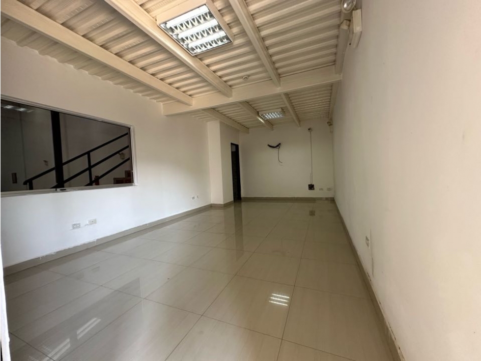 Descripción de la imagen
