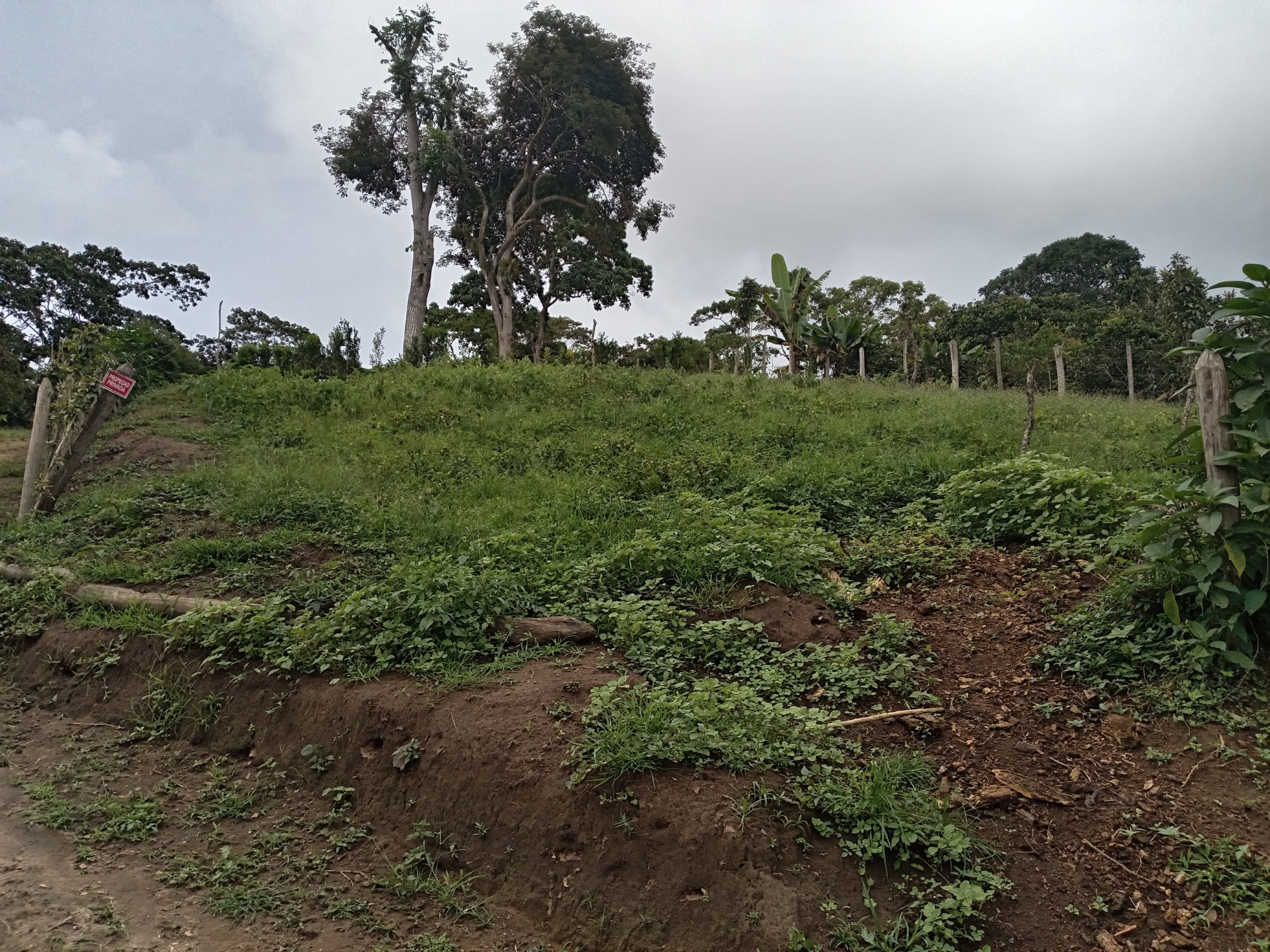 Se vende terreno propio, Bella Vista 