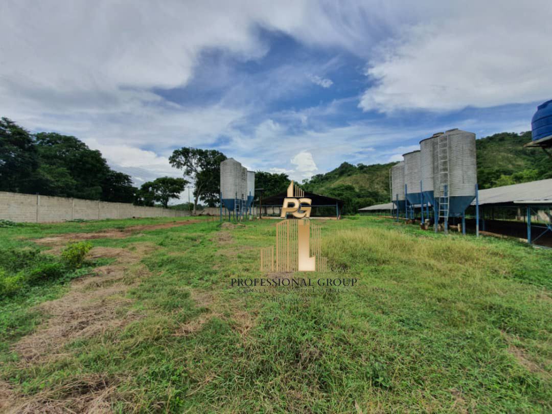 HACIENDA EN VENTA, SAN JUAN DE LOS MORROS