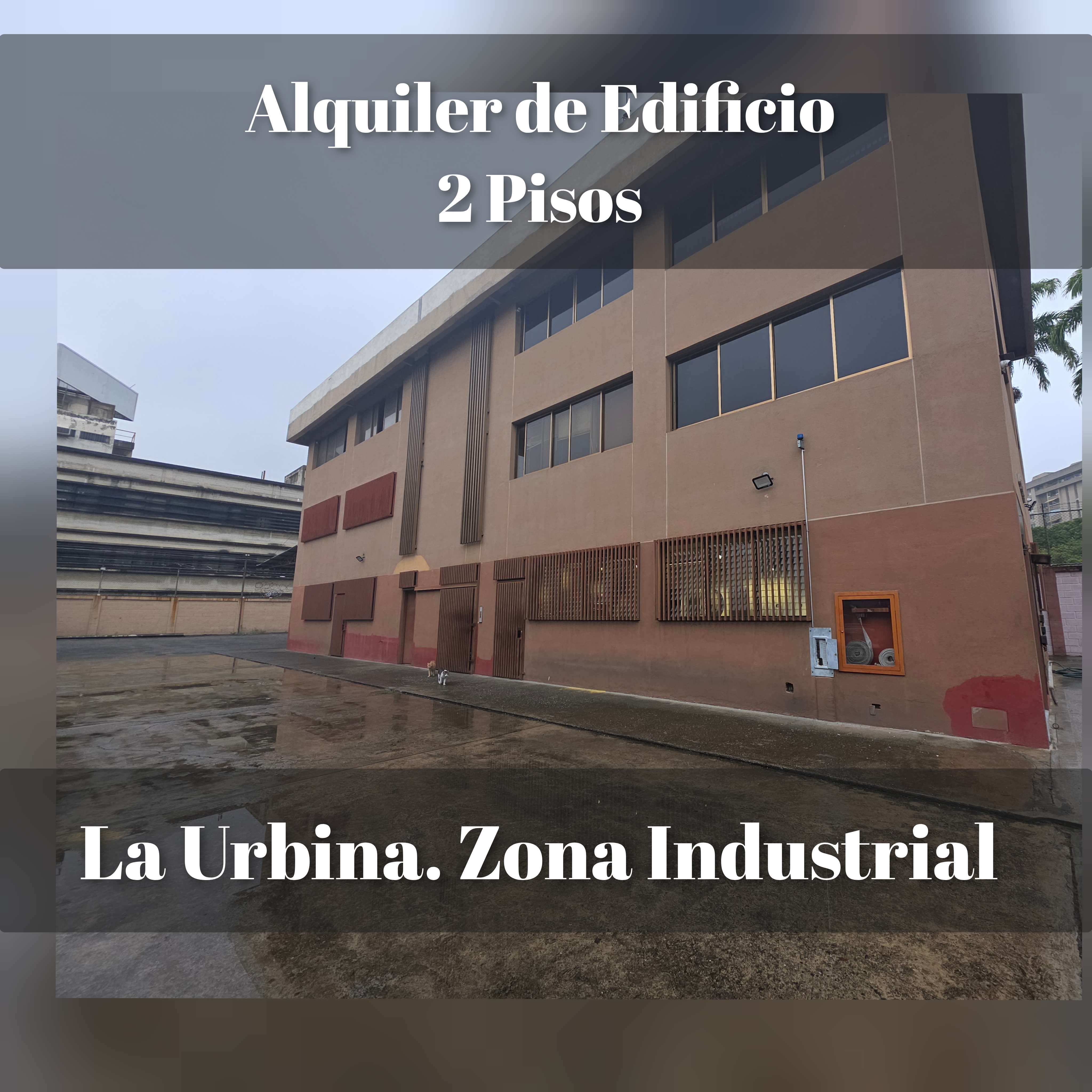Alquilo edificio industrial solo 2 plantas 240m2 La urbina