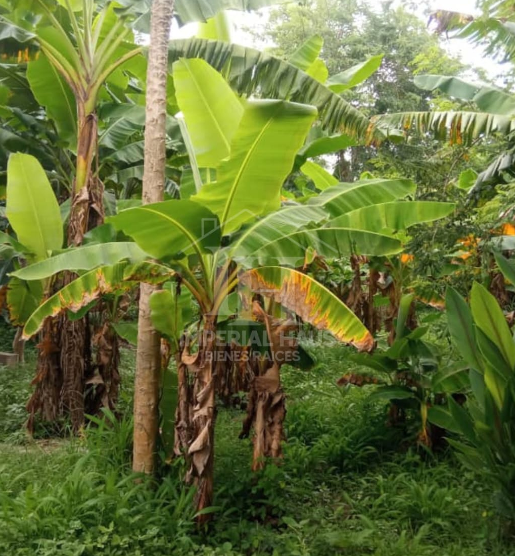 En Venta Terreno San Diego Venezuela 