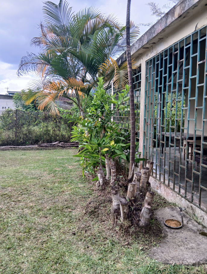 En venta casa para remodelar en excelente ubi